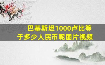 巴基斯坦1000卢比等于多少人民币呢图片视频