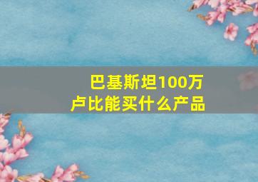 巴基斯坦100万卢比能买什么产品