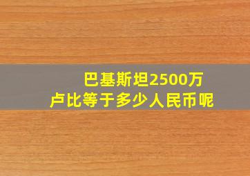 巴基斯坦2500万卢比等于多少人民币呢