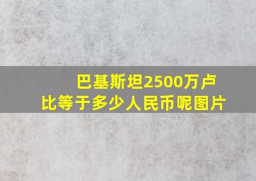 巴基斯坦2500万卢比等于多少人民币呢图片