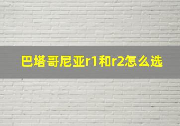 巴塔哥尼亚r1和r2怎么选