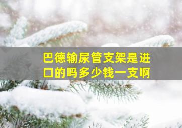 巴德输尿管支架是进口的吗多少钱一支啊