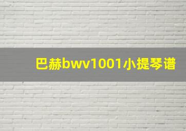 巴赫bwv1001小提琴谱