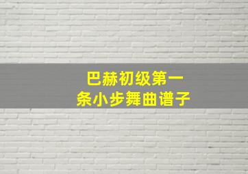 巴赫初级第一条小步舞曲谱子