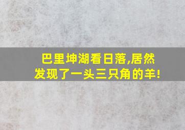 巴里坤湖看日落,居然发现了一头三只角的羊!