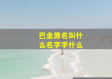 巴金原名叫什么名字字什么