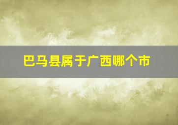 巴马县属于广西哪个市