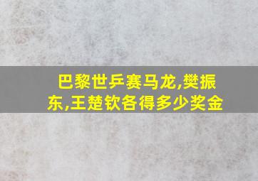 巴黎世乒赛马龙,樊振东,王楚钦各得多少奖金