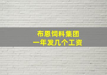 布恩饲料集团一年发几个工资