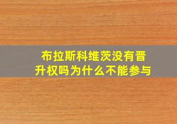 布拉斯科维茨没有晋升权吗为什么不能参与