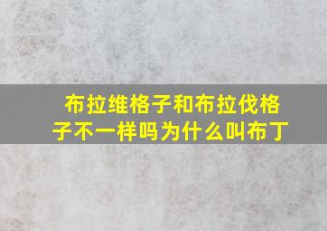 布拉维格子和布拉伐格子不一样吗为什么叫布丁