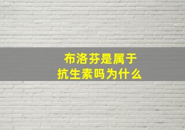 布洛芬是属于抗生素吗为什么