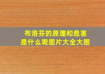 布洛芬的原理和危害是什么呢图片大全大图