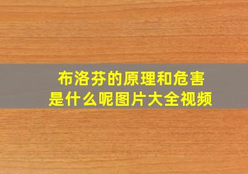 布洛芬的原理和危害是什么呢图片大全视频