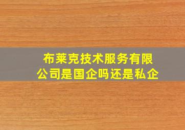 布莱克技术服务有限公司是国企吗还是私企