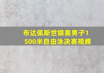 布达佩斯世锦赛男子1500米自由泳决赛视频