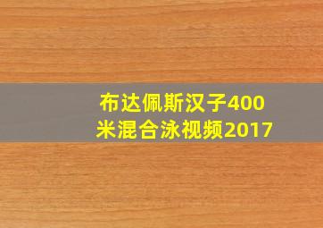 布达佩斯汉子400米混合泳视频2017