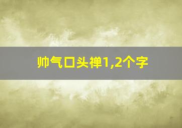 帅气口头禅1,2个字