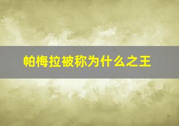 帕梅拉被称为什么之王