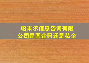 帕米尔信息咨询有限公司是国企吗还是私企