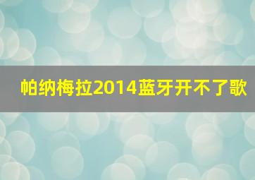 帕纳梅拉2014蓝牙开不了歌