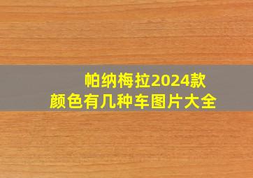 帕纳梅拉2024款颜色有几种车图片大全