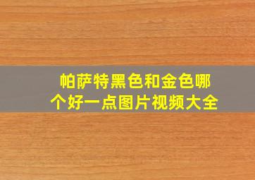 帕萨特黑色和金色哪个好一点图片视频大全