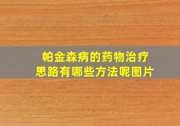 帕金森病的药物治疗思路有哪些方法呢图片