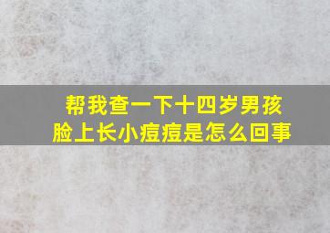 帮我查一下十四岁男孩脸上长小痘痘是怎么回事