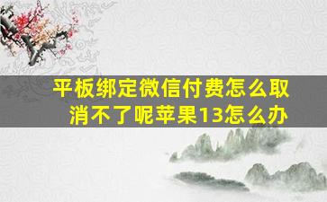 平板绑定微信付费怎么取消不了呢苹果13怎么办