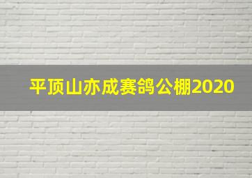 平顶山亦成赛鸽公棚2020