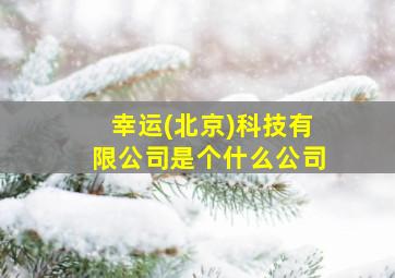 幸运(北京)科技有限公司是个什么公司