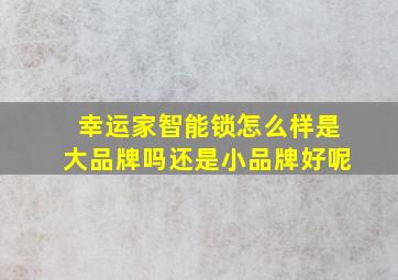 幸运家智能锁怎么样是大品牌吗还是小品牌好呢