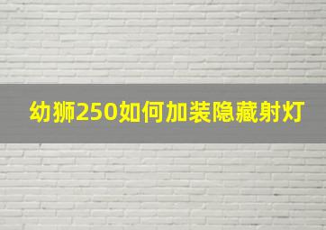 幼狮250如何加装隐藏射灯