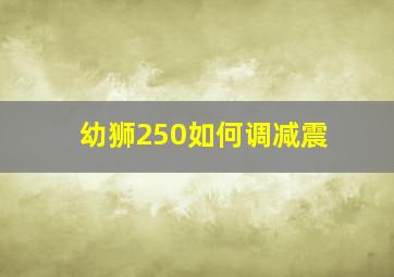 幼狮250如何调减震