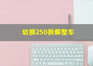 幼狮250拆解整车