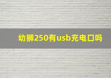 幼狮250有usb充电口吗