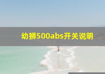 幼狮500abs开关说明