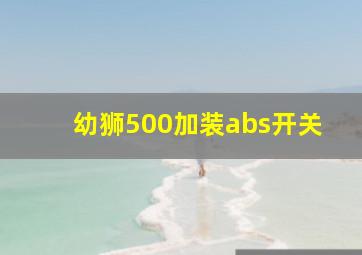 幼狮500加装abs开关