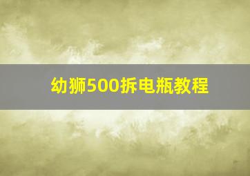 幼狮500拆电瓶教程