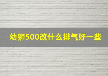 幼狮500改什么排气好一些