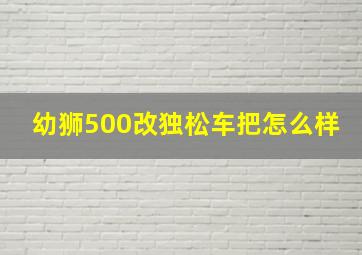 幼狮500改独松车把怎么样