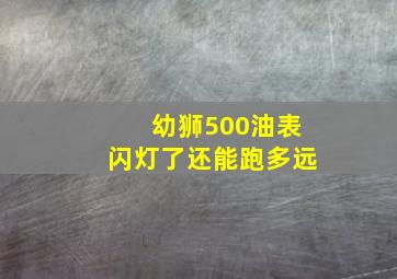 幼狮500油表闪灯了还能跑多远