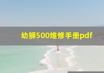 幼狮500维修手册pdf