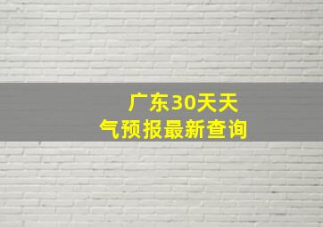 广东30天天气预报最新查询