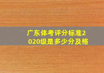 广东体考评分标准2020级是多少分及格