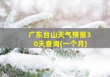 广东台山天气预报30天查询(一个月)