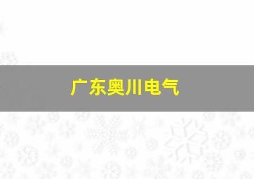 广东奥川电气