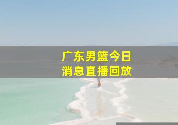 广东男篮今日消息直播回放