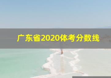 广东省2020体考分数线